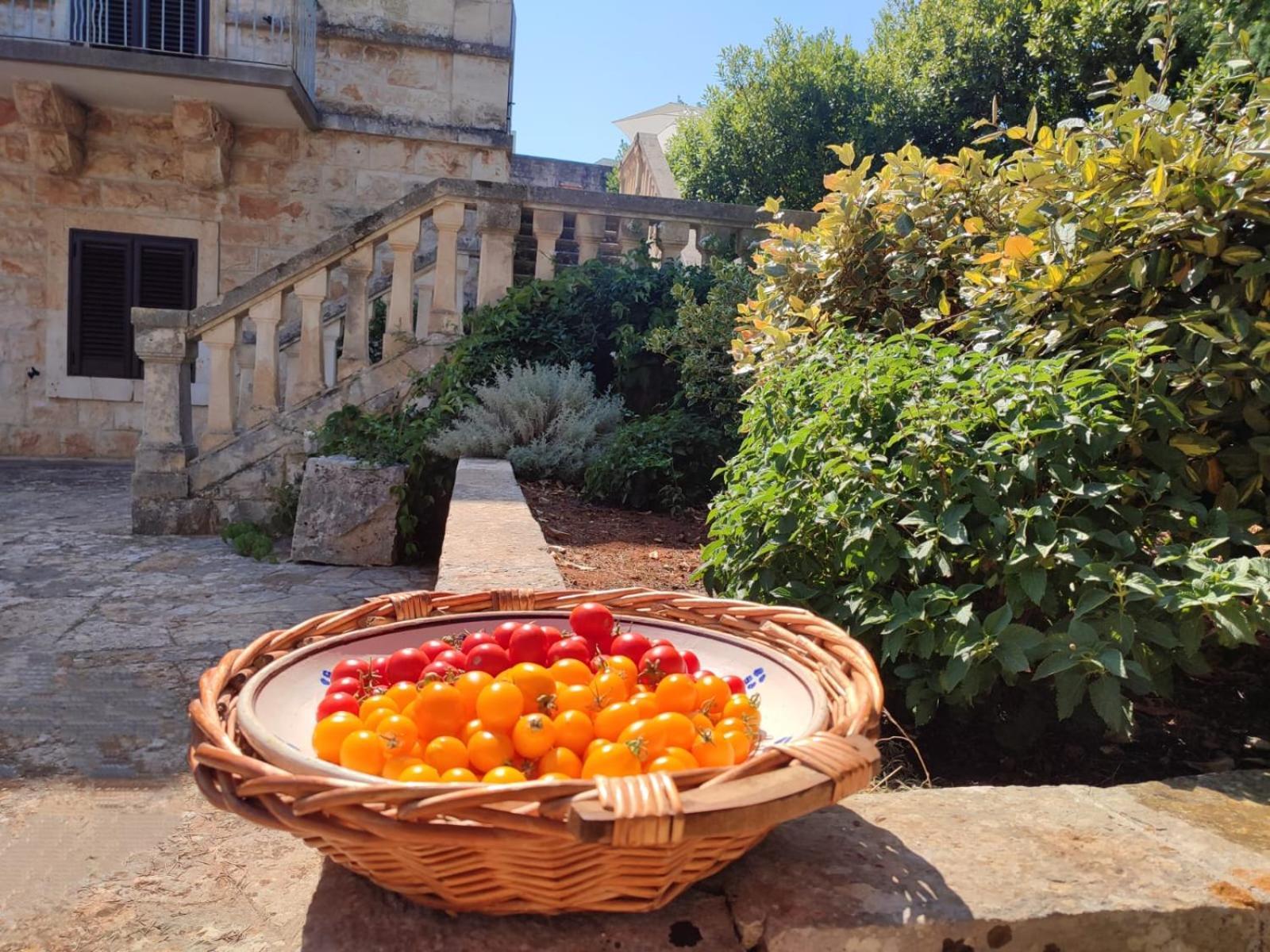 Villa Ostuni Monopoli Exteriör bild